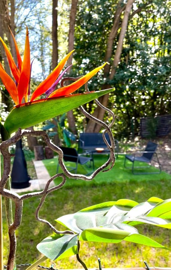 Tiki House M-Home-Climatise - Belle Parcelle ! Saint-Cheron Exterior photo
